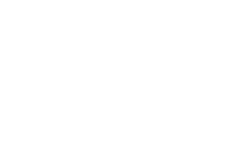 SoaR Gaming Logo